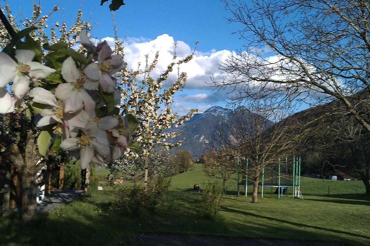 Hoderhof Apartment Grassau  Luaran gambar
