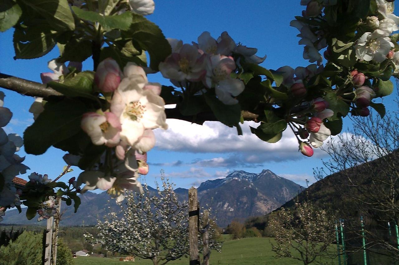 Hoderhof Apartment Grassau  Luaran gambar